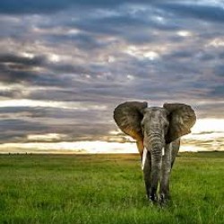 Rehekuri Blackbuck Sanctuary Photography Tour (1D)